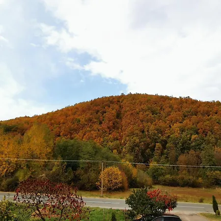 Apartmán Sa Francuskim I Pomocnim Lezajem - Romansa Ribarska Banja