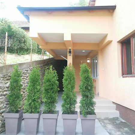 Sa Francuskim I Pomocnim Lezajem - Romansa Apartment Ribarska Banja