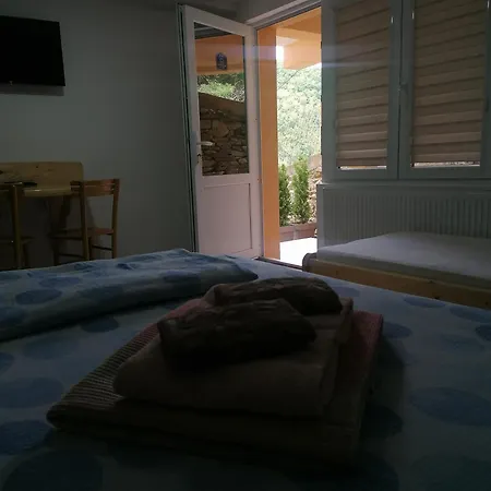 Sa Francuskim I Pomocnim Lezajem - Romansa