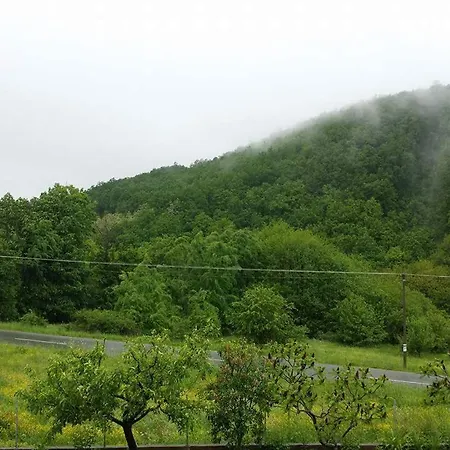 Sa Francuskim I Pomocnim Lezajem - Romansa