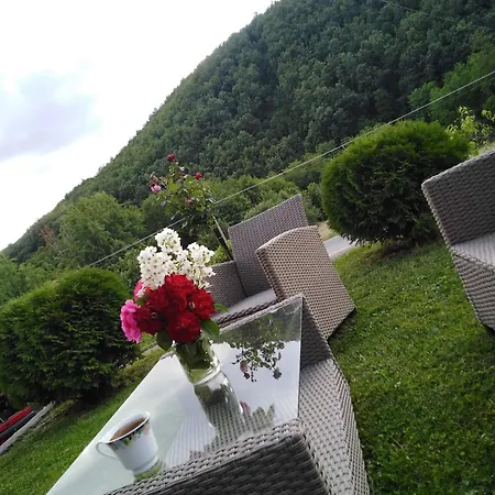 Sa Francuskim I Pomocnim Lezajem - Romansa Ribarska Banja