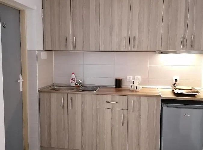 Sa Francuskim I Pomocnim Lezajem - Romansa Apartment *
