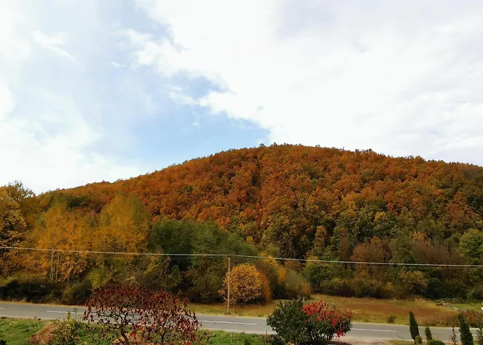 Apartment Sa Francuskim I Pomocnim Lezajem - Romansa Ribarska Banja