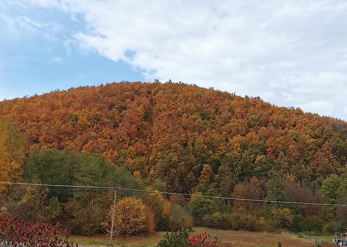 Apartment Sa Francuskim I Pomocnim Lezajem - Romansa