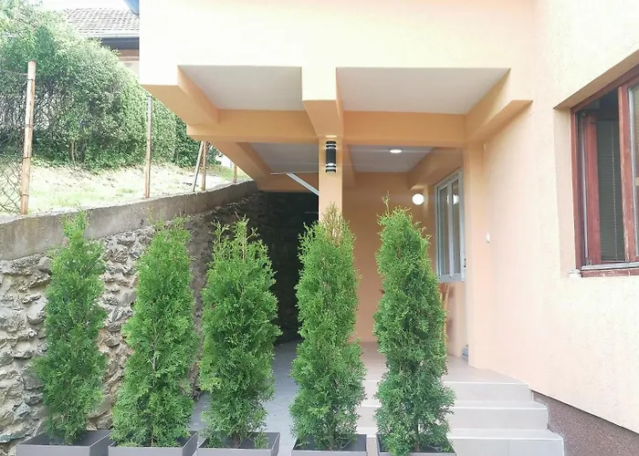 Sa Francuskim I Pomocnim Lezajem - Romansa Apartment Ribarska Banja