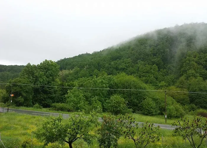 Sa Francuskim I Pomocnim Lezajem - Romansa