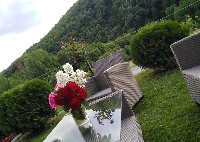 Sa Francuskim I Pomocnim Lezajem - Romansa Ribarska Banja