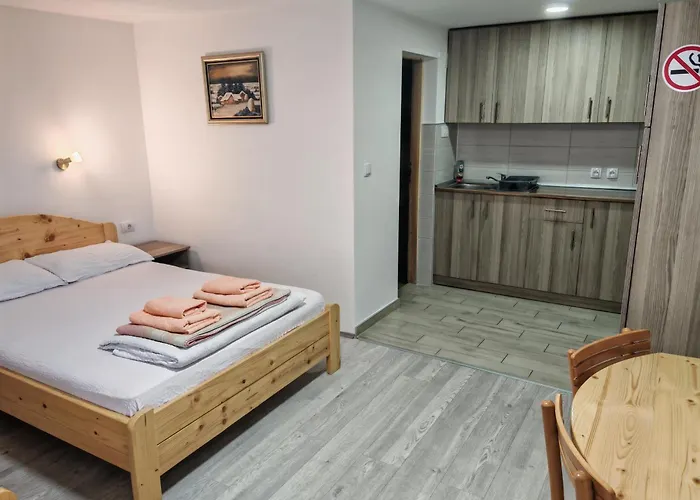 Sa Francuskim I Pomocnim Lezajem - Romansa Apartment Ribarska Banja